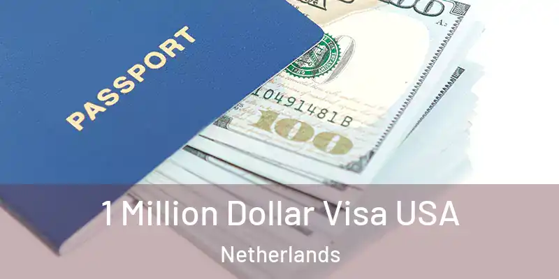 1 Million Dollar Visa USA Netherlands