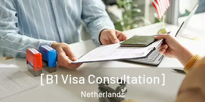  [B1 Visa Consultation] Netherlands