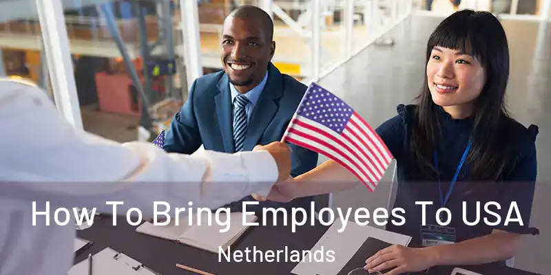 How To Bring Employees To USA Netherlands