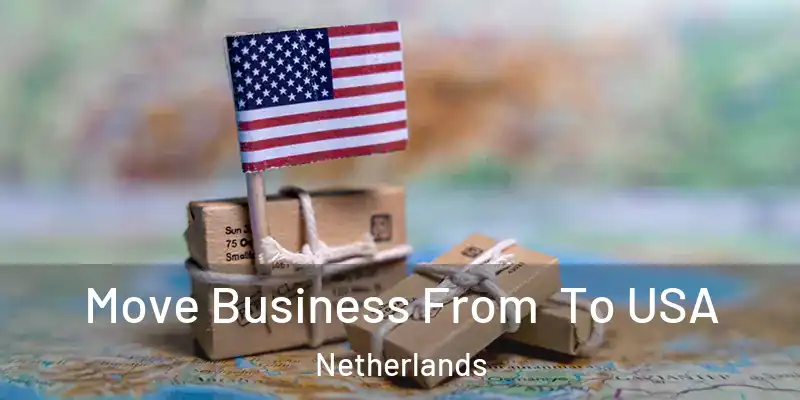 Move Business From To USA Netherlands
