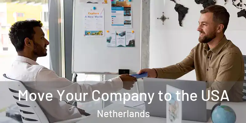 Move Your Company to the USA Netherlands