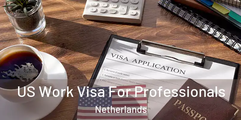 US Work Visa For Professionals Netherlands